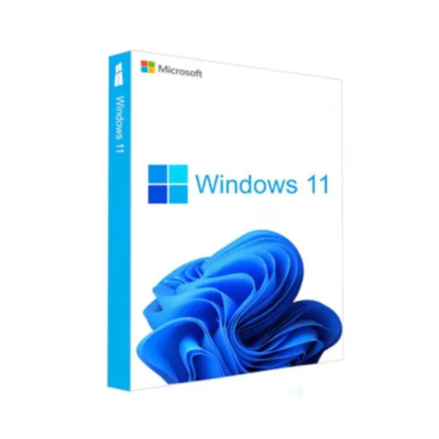 Windows 11 Professional